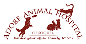 Adobe Animal Hospital of Soquel logo