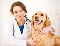 Sykesville Veterinary Clinic logo
